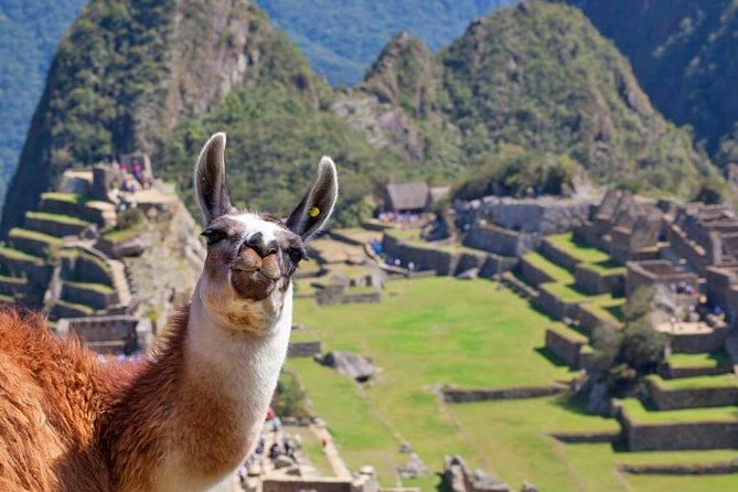 Machu Picchu day trip from Cusco - Free Time in Aguas Calientes