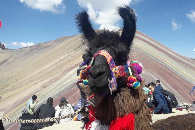 Rainbow Mountain Tour in Quad Bike (1-Day) - Practical Details and Tips