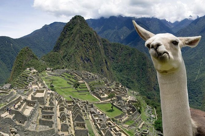 5-Day Salkantay Trek to MachuPicchu with Optional Hot Spring Bath - The Complete 5-Day Salkantay Trek Experience