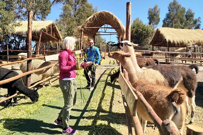 Airport Transfer (Private Service) - A Closer Look at the Cusco Airport Transfer Experience