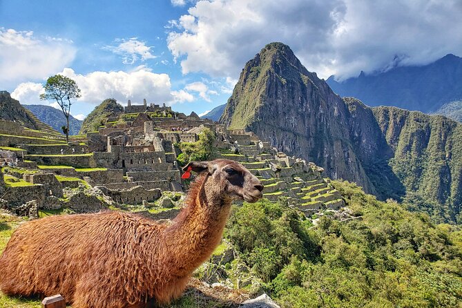 Machu Picchu Full Day Tour with a private guide - Who Is This Tour Best Suited For?