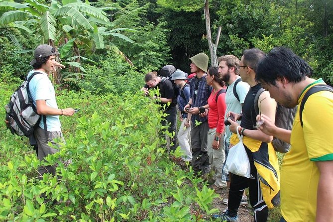 Inca Jungle Tour to Machu Picchu 4D - 3N Standard - Deep Dive into the Experience