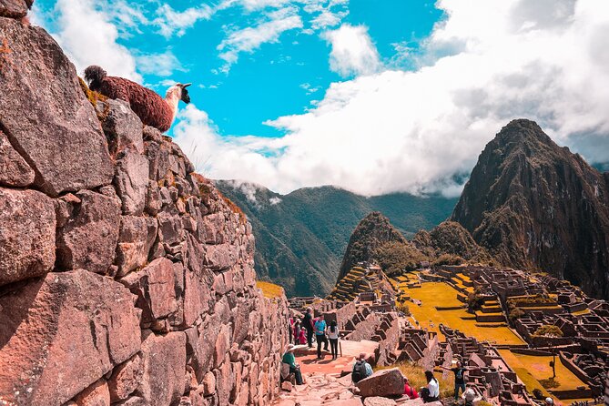 Machu Picchu Full-Day Tour by Train from Cusco - Small Group - Authentic Experiences According to Travelers