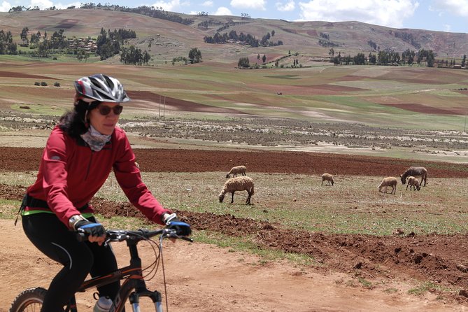 Biking Tour to Maras and Moray- Private Service - FAQs