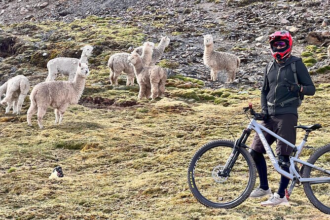 Mountain Biking Enduro - MTB Sacred Valley Lares - Key Points