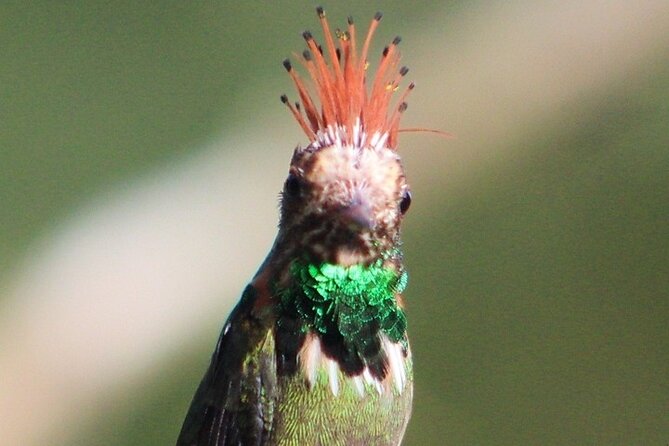 7 days and 6 nights Private Tour Manu National Park in Cusco - In-Depth Review of the Manu National Park Private Tour