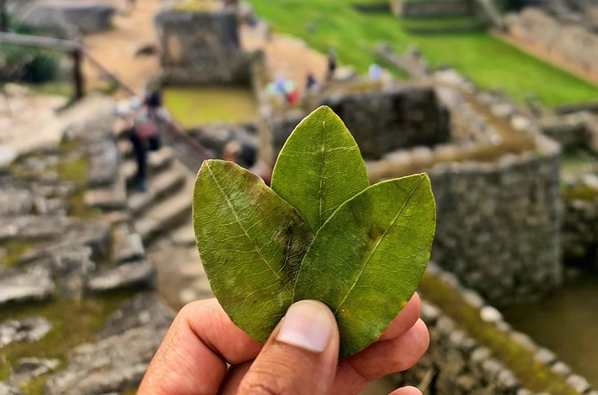 Explore Machu Picchu in One Day: Panoramic 360° Luxury Train - Who Is This Tour Best For?