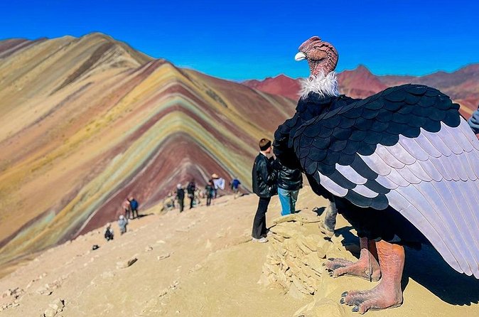Full Day Hiking Tour in Rainbow Mountain Vinicunca Cusco - Final Word
