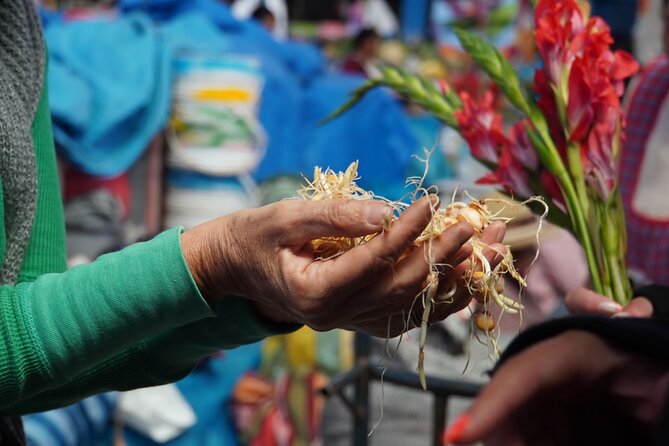 Food and Culture Full day Tour in the Sacred Valley - Key Points