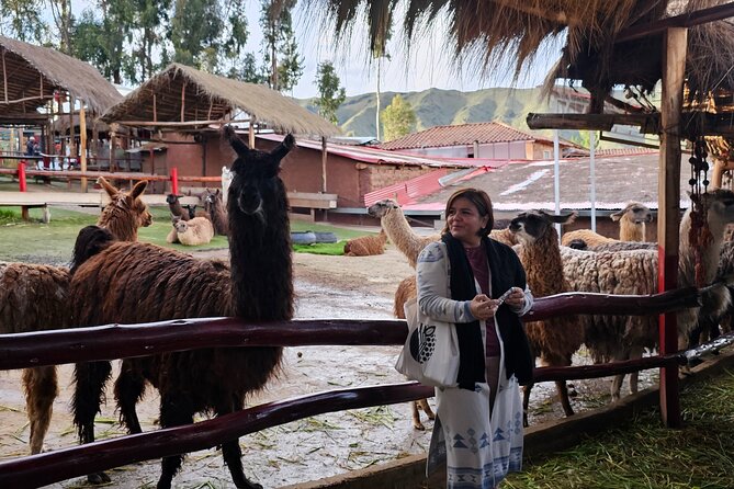 Cusco: Alpaca and Llama Farm Tour with Transfer & Weaving Demo - The Sum Up