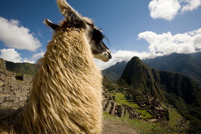 Machu Picchu Day Trip from Sacred Valley - The Value of Guided Tours at Machu Picchu