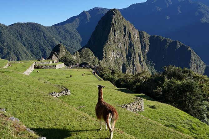 1 Day Tour to Machu Picchu by Train (group service) - Authentic Experiences and Traveler Feedback