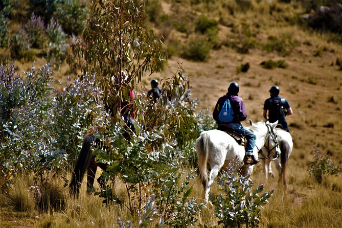 Horse Riding Chacan Mountain And Temple Of The Moon - Is This Tour Right for You?