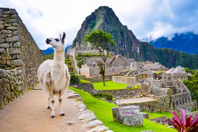 4-Day Excursion to MachuPicchu & Rainbow Mountain & City tour || All Included || - The Sum Up