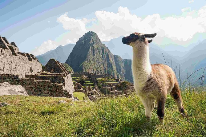 4-Day Excursion to MachuPicchu & Rainbow Mountain & City tour || All Included || - Exploring Cusco and the Sacred Valley