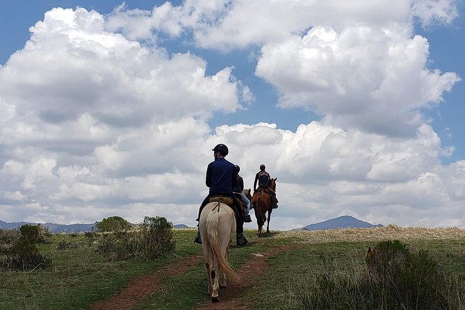 Equestrian experience - Peruvian paso Horse - Who Will Love This Tour?