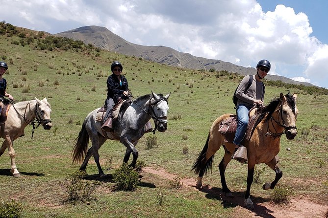 Equestrian experience - Peruvian paso Horse - Key Points