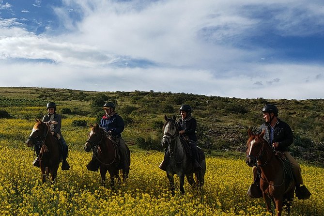 Ride Peruvian Paso Horses in Cusco - Key Points