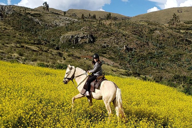 Ride Peruvian Paso Horses in Cusco - Exploring the Details of the Tour