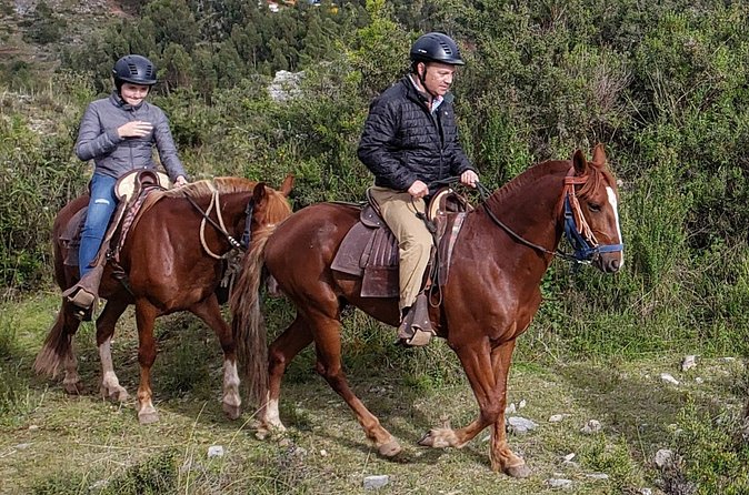 Ride Peruvian Paso Horses in Cusco - Who Should Consider This Tour?