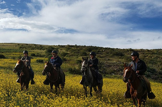 Ride Peruvian Paso Horses in Cusco - The Sum Up
