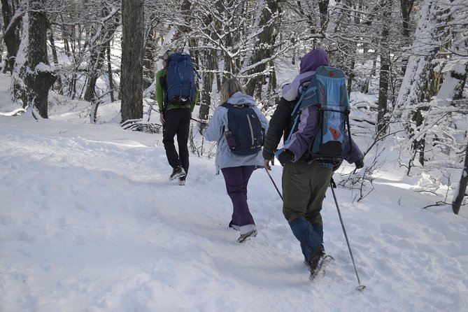 Snow excursion in Bariloche - Suitable for the whole family - The Sum Up: Who Should Book?