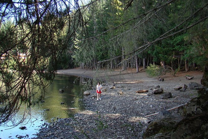 Excursion to San Martin de los Andes via 7-lake Circuit, from Bariloche - Key Points