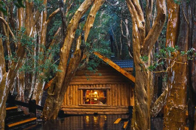 Victoria Island and Arrayanes Forest - Who Will Love This Tour?