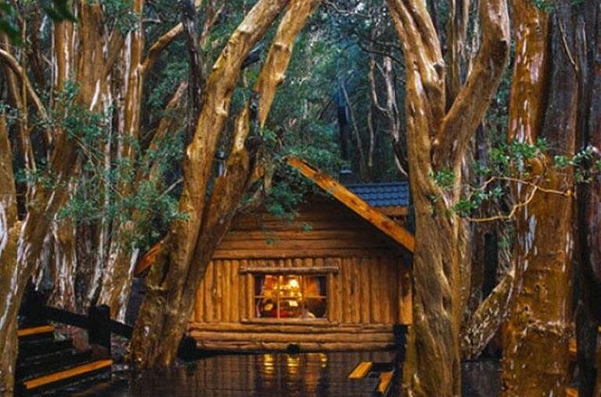 Victoria Island and Arrayanes Forest - Final Thoughts