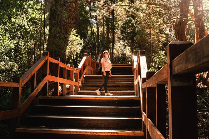 Bariloche: Boat Trip to Victoria Island and the Arrayanes Forest - Key Points