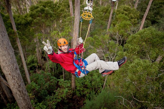 Launceston Hollybank Tree Ropes Experience - FAQ