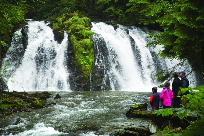 Best of Juneau: Mendenhall Glacier, Whale Watching and Salmon Bake - Who Will Love This Tour?
