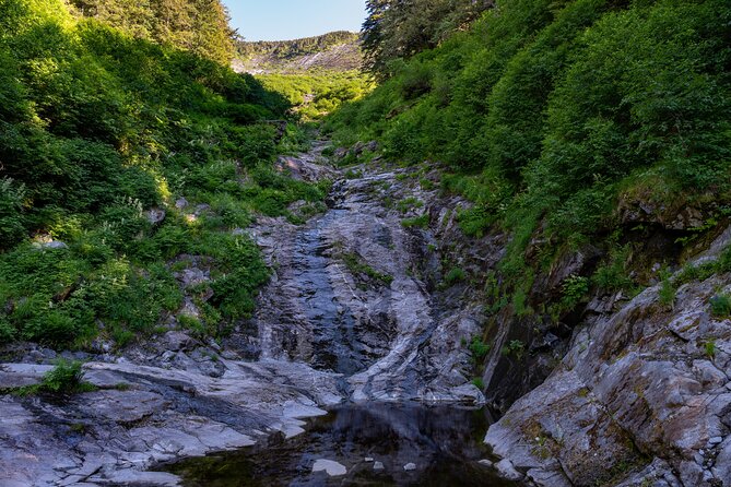 Ketchikan Mountain Lake Trek to Avalanche Chute - Key Points