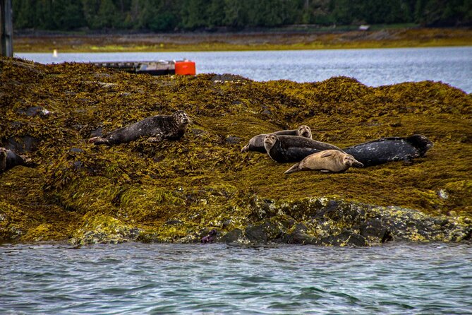 Tales & Tides: Alaskan Lore & Wildlife Cruise - The Boat Itself: Comfort and Convenience