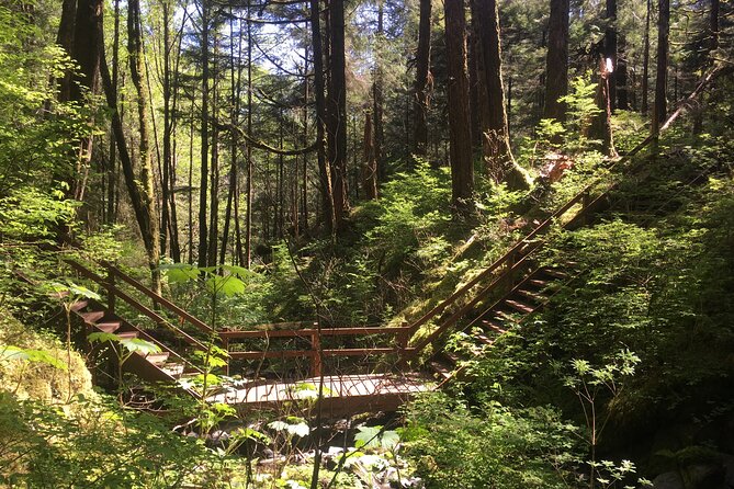 Alaska Bigfoot Adventures - Who Will Love This Tour?