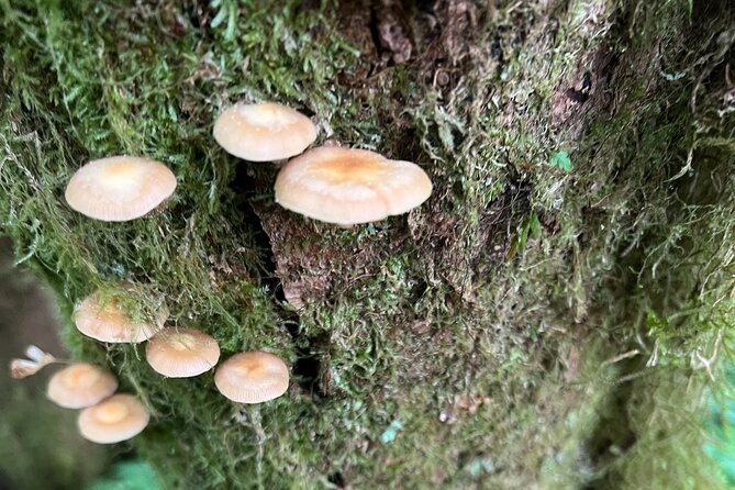 Alaska Bigfoot Adventures - FAQ