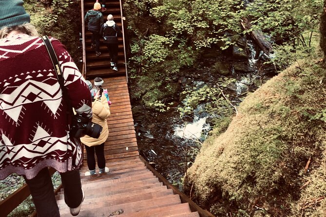 Alaska Bigfoot Adventures - Discover Alaska Bigfoot Adventures: A Unique Wilderness Experience in Ketchikan