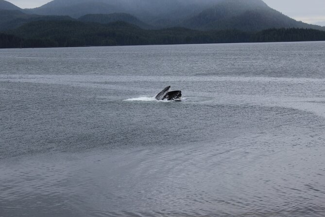 Alaska Native Cultural and Wildlife Adventure - A Deep Dive into the Alaska Native Cultural and Wildlife Adventure