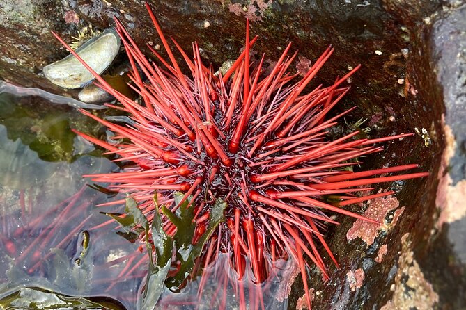 Guided Tour of Ketchikans Top Attractions - Authentic Experiences and What Travelers Say