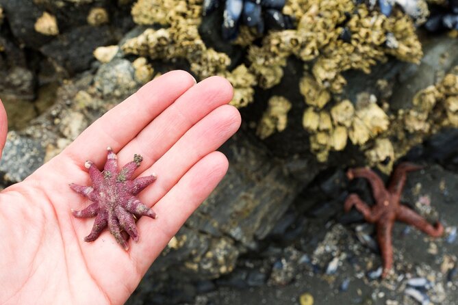 Private Ketchikan Wildlife and Sightseeing Tour - Who Will Love This Tour?