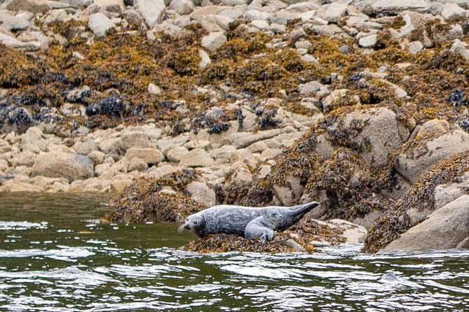 Wildlife and Scenery in Ketchikan - Key Points