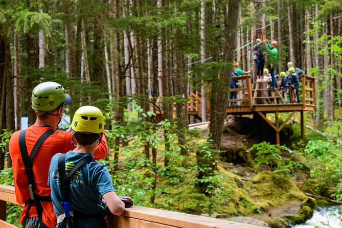 Grizzly Falls Ziplining Expedition - A Deep Dive into the Skagway Ziplining Experience