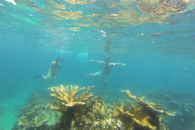 Snorkeling on The Caribbean side of Panama - Key Points