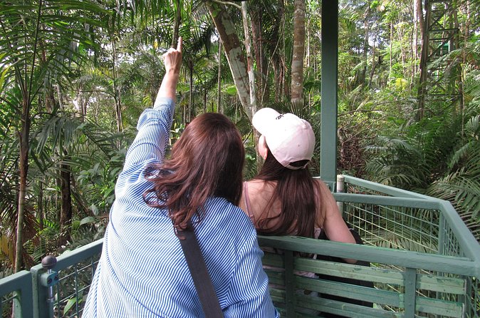 Aerial Tram & Sloth Sanctuary in the Rainforest - Frequently Asked Questions