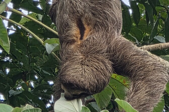 Panama: Causeway, Canal Zone & Panama Canal entrance included - Who Should Consider This Tour?