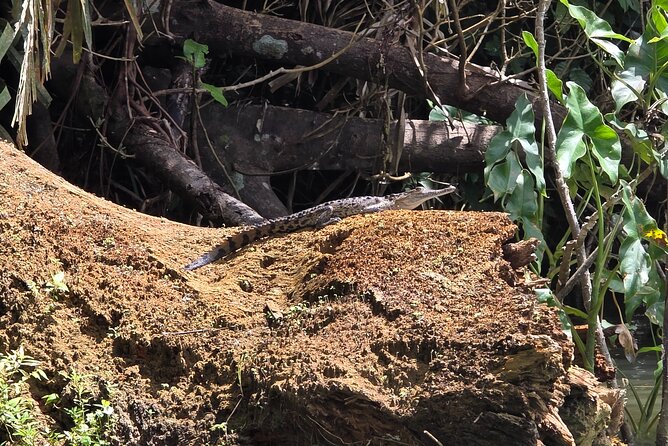 Panama: Causeway, Canal Zone & Panama Canal entrance included - FAQ