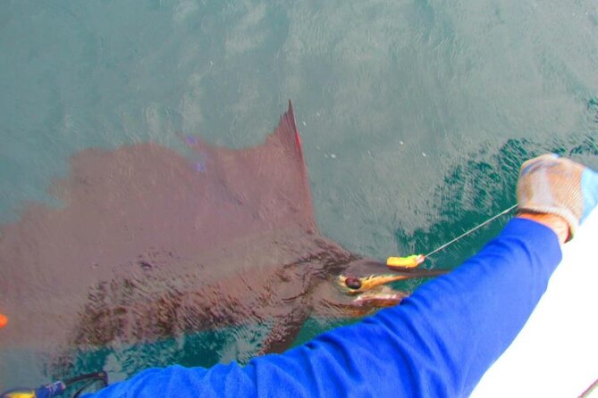 Full Day Fishing Trip on Private Boat at the South Pearl Islands - Fishing Gear and Equipment