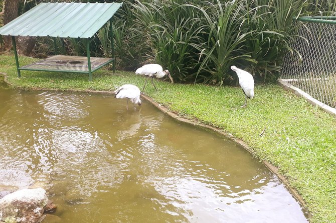 Anton Valley Uniqueness - Practical Details and Value