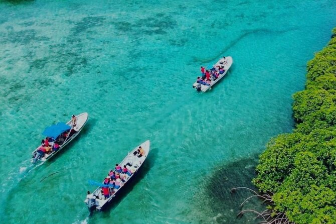 Portobelo and Mamey Island trip with lunch included - Key Points