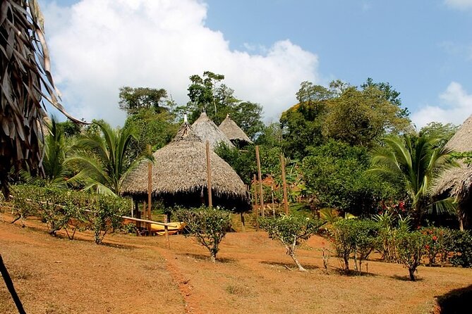 Private 6 hour Tour to Embera Community and Chagres Panama Native - FAQ